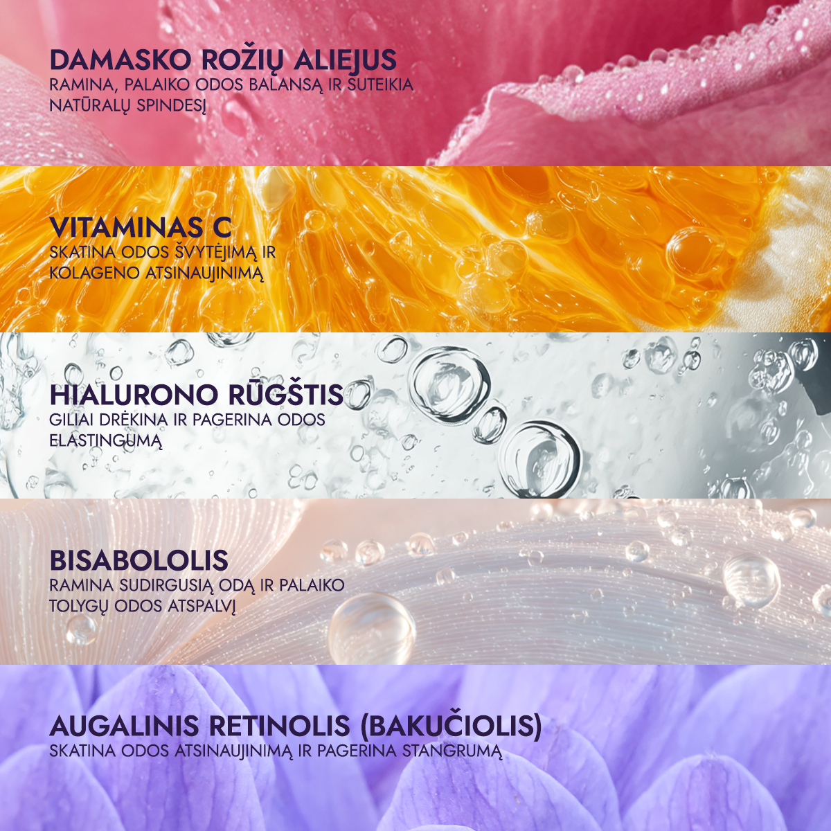 Rose Oil and Vitamin C Bio Retinol Cream Luminous Rose